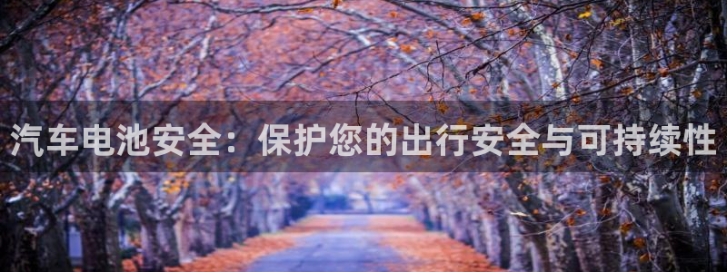 优发国际官方网手机版app：汽车电池安全：保护您的出行安全与可持续性