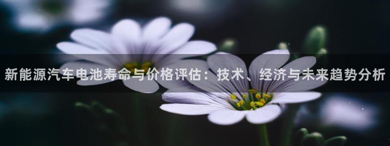 优发国际网站178