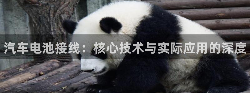 优发国际VIP网址