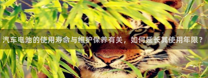 优发国际游戏：汽车电池的使用寿命与维护保养有关，如何延长其使用年限？