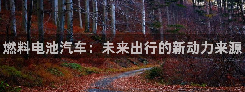 优发国际这个平台怎么样可靠吗