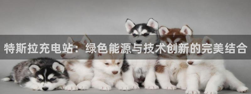 优发国际手机版网站官网：特斯拉充电站：绿色能源与技术创新的完美结合