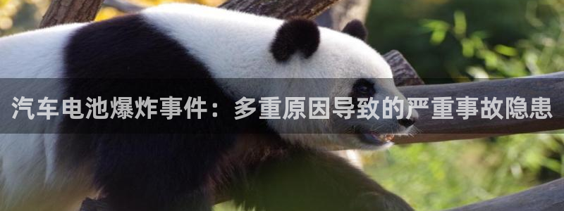 优发国际官网入口app下载：汽车电池爆炸事件：多重原因导致的严重事故隐患