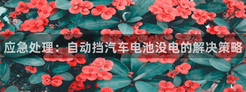 优发国际多少钱：应急处理：自动挡汽车电池没电的解决策略
