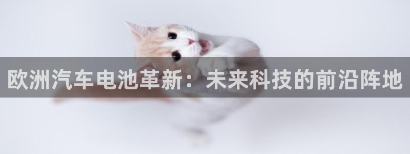 优发国际平台u8是什么公司：欧洲汽车电池