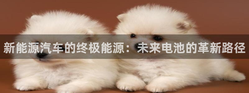 优发国际官网手机版代理：新能源汽车的终极能源：未来电池的革新路径