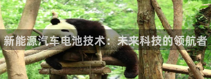 优发国际顶级：新能源汽车电池技术：未来科技的领航者