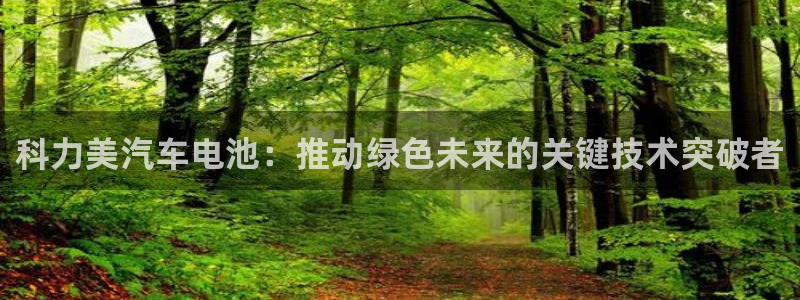 优发国际官网网站入口：科力美汽车电池：推动绿色未来的关键技术突破者