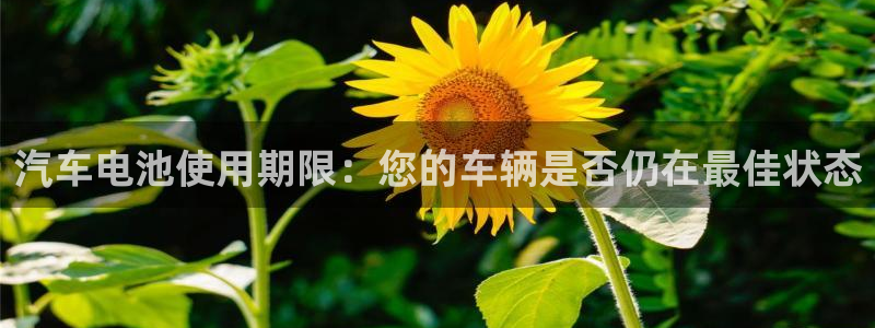 优发国际电话：汽车电池使用期限：您的车辆是否仍在最佳状态
