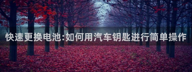 优发国际VIP网址：快速更换电池:如何用汽车钥匙进行简单操作