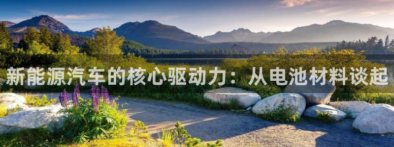 优发国际这个平台怎么样啊