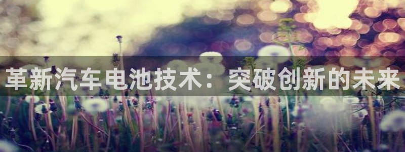 优发国际注册平台官网：革新汽车电池技术：