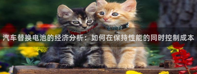 优发国际是大平台吗知乎