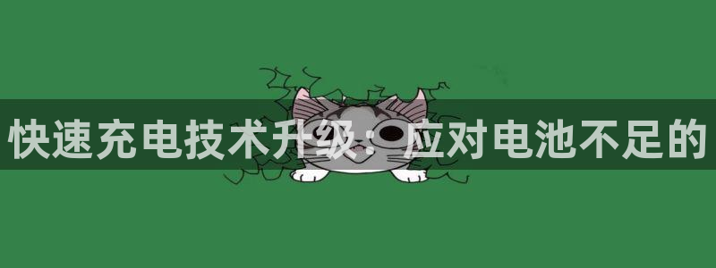 优发国际官网下载安装app：快速充电技术升级：应对电池不足的