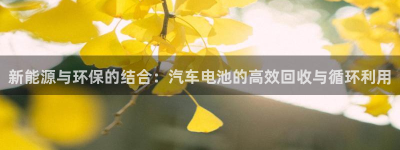 优发国际平台