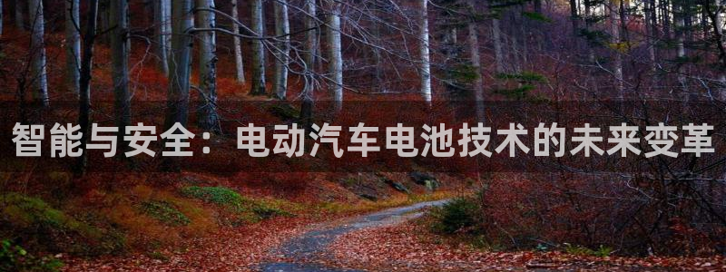 优发国际平台u8怎么样