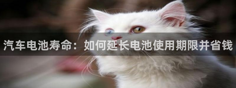 优发国际合并到哪里了：汽车电池寿命：如何