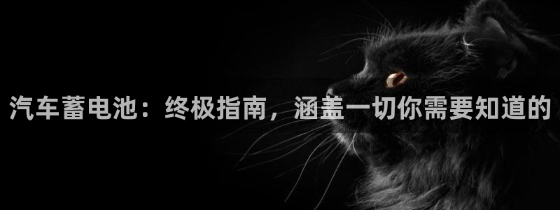 优发国际官网手机版：汽车蓄电池：终极指南，涵盖一切你需要知道的