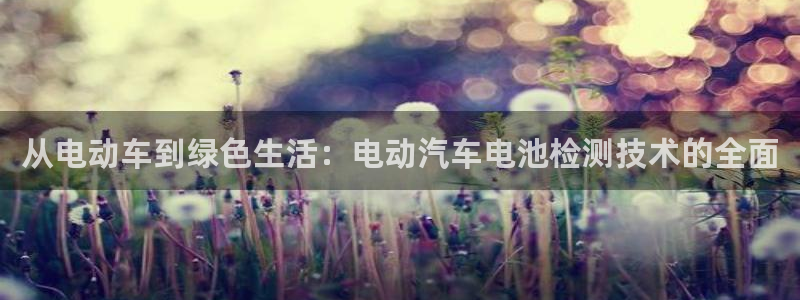 优发国际官网qy88