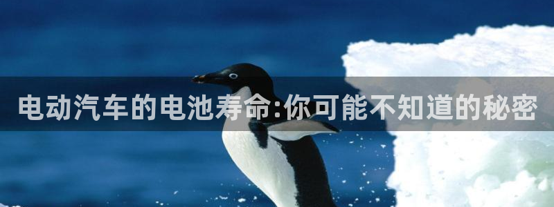 优发国际官网是多少：电动汽车的电池寿命:你可能不知道的秘密