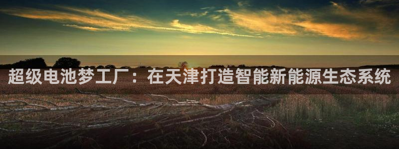 优发国际是合法的吗安全吗：超级电池梦工厂