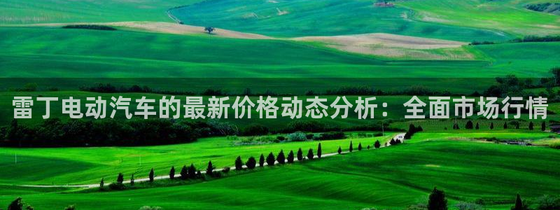 优发国际app登录密码：雷丁电动汽车的最新价格动态分析：全面市场行情