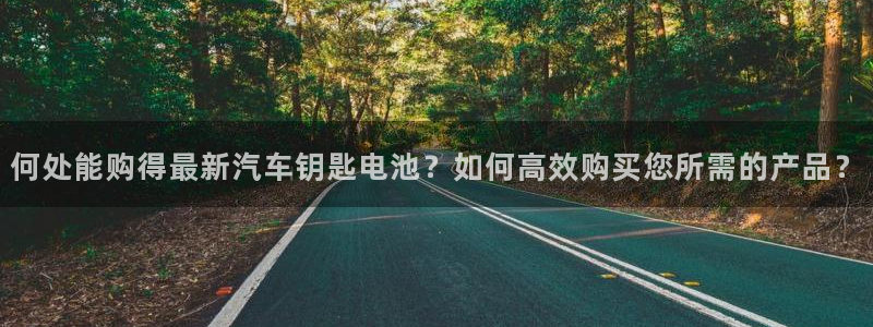 优发国际官网首页：何处能购得最新汽车钥匙电池？如何高效购买您所需的产品？