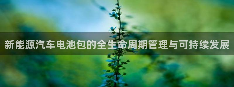 优发国际随优而动一触即发：新能源汽车电池包的全生命周期管理与可持续发展