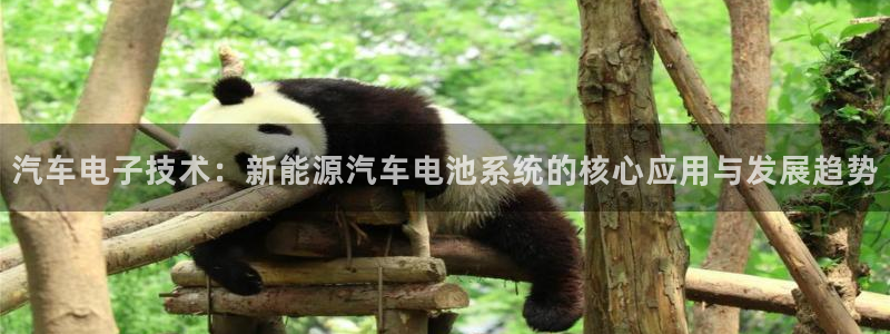 优发国际网官网17k8：汽车电子技术：新