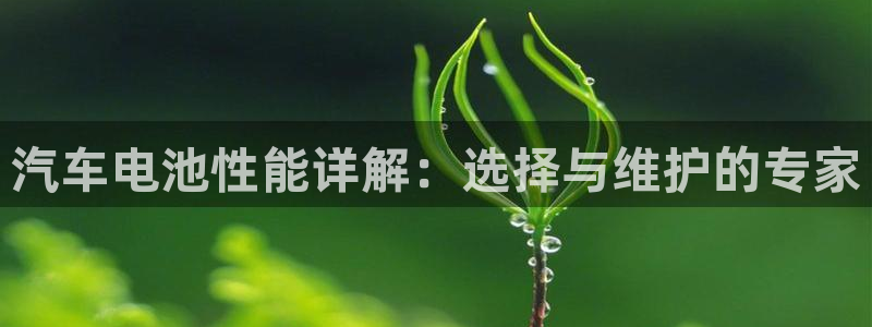 优发国际网站官网：汽车电池性能详解：选择