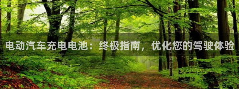 优发国际是合法的吗安全吗：电动汽车充电电池：终极指南，优化您的驾驶体验