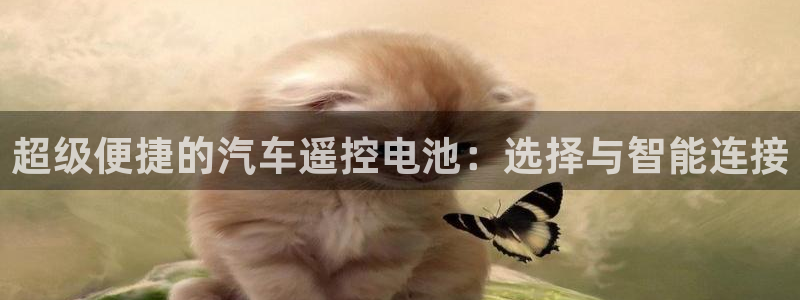 优发国际登录a：超级便捷的汽车遥控电池：选择与智能连接