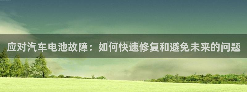 优发国际是合法的吗：应对汽车电池故障：如何快速修复和避免未来的问题