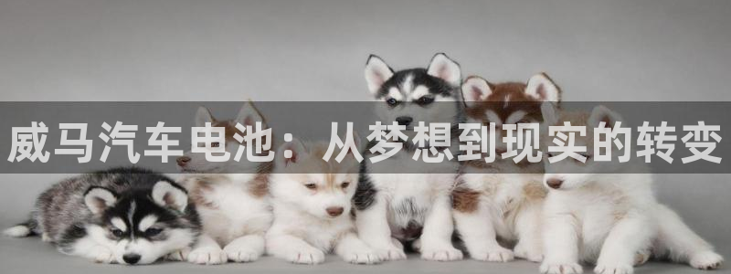 优发国际平台u8是什么软件：威马汽车电池：从梦想到现实的转变