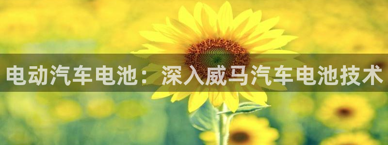 优发国际官网官方网址：电动汽车电池：深入威马汽车电池技术